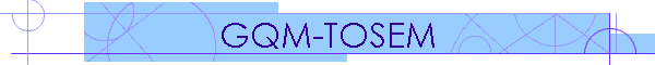 GQM-TOSEM